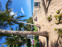 /album/fotogaleria-sri-lanka-maldivy-zajazd-vy-a-my2/sri-lanka-zajazd-jamajkanita-46-jpg/
